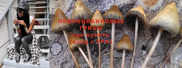 не бодяженный Абаза