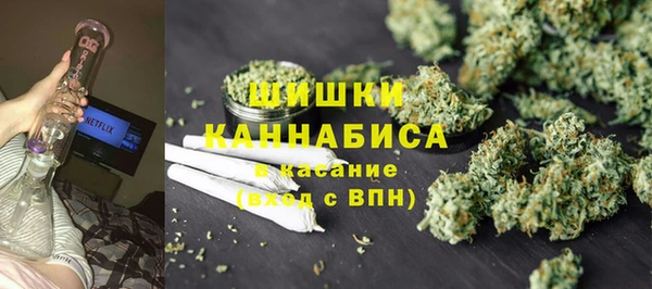 шишки Алексин