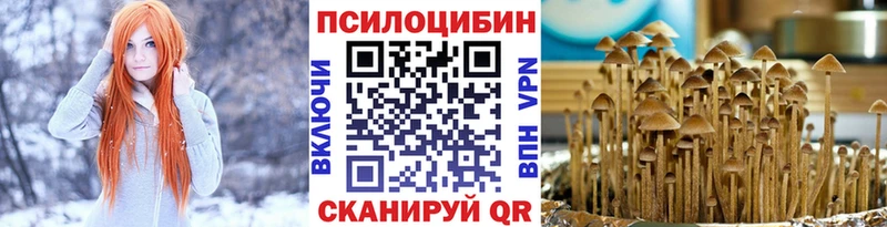 Псилоцибиновые грибы Psilocybe  MEGA   Черепаново  цена наркотик 